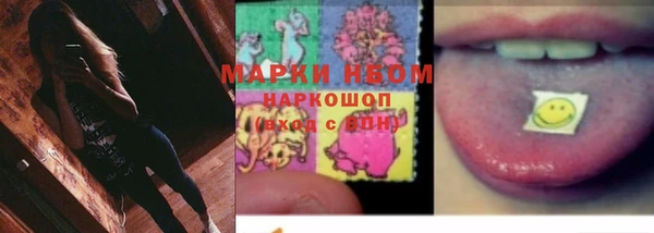 гашик Богородицк