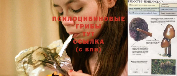 альфа пвп Богданович