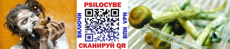 Псилоцибиновые грибы MAGIC MUSHROOMS Купить Кирс